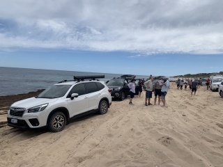 Annual Beach Run